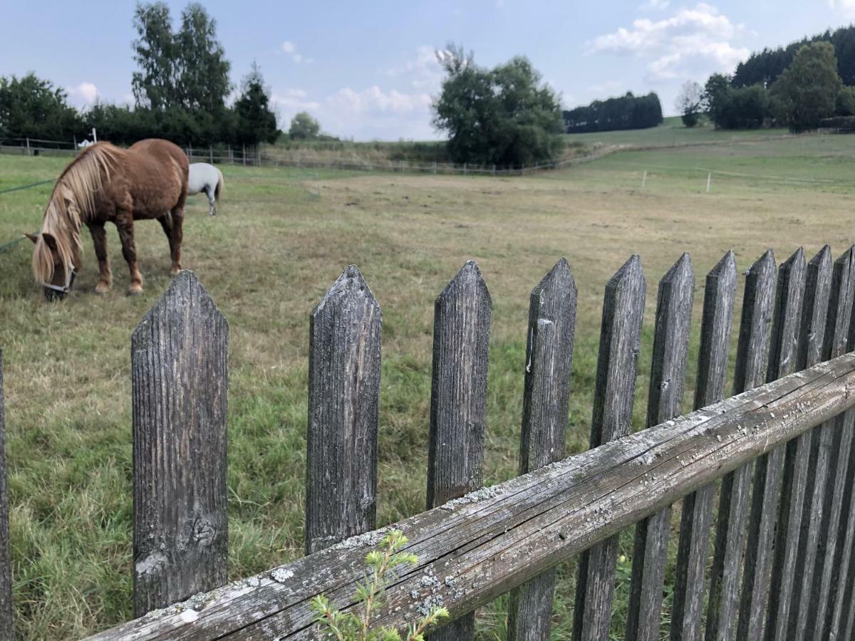 Ferienwohnung Landidyll Saalburg Bagian luar foto